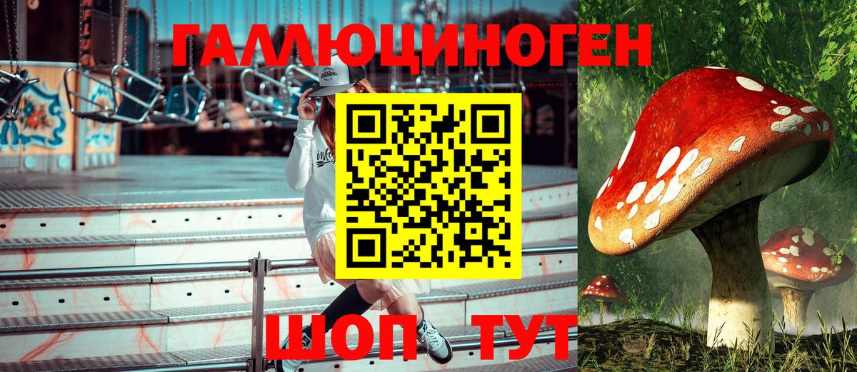 Псилоцибиновые грибы прущие грибы  Вход с VPN  Урус-Мартан  Псилоцибиновые грибы мицелий 