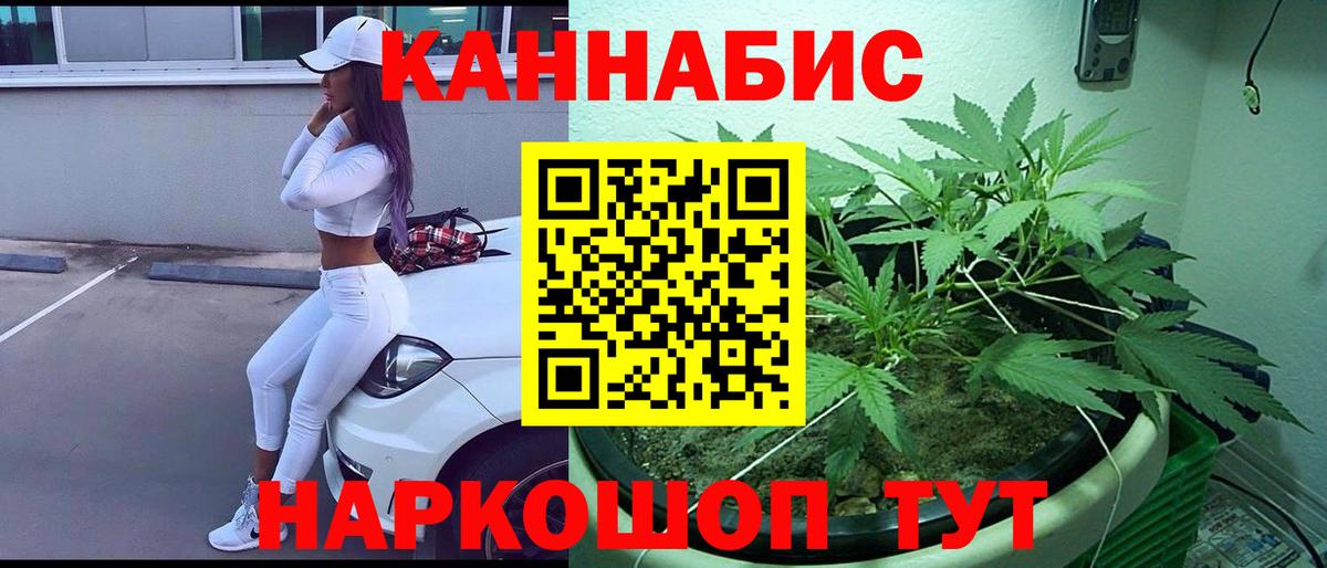 Марихуана OG Kush Урус-Мартан